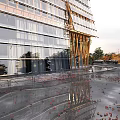 Modern Office Building With Glass Curtain Wall Wooden Structure And Fallen Leaves In Parking Lot