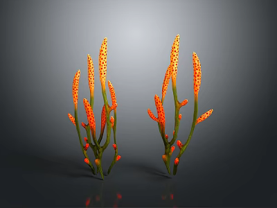 Orange Decorative Plants With Slender Stems And Yellow Spots For Indoor 3d model