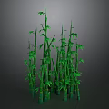 Lush Green Bamboo Plants With Multiple Stems And Fresh Leaves On Dark Background