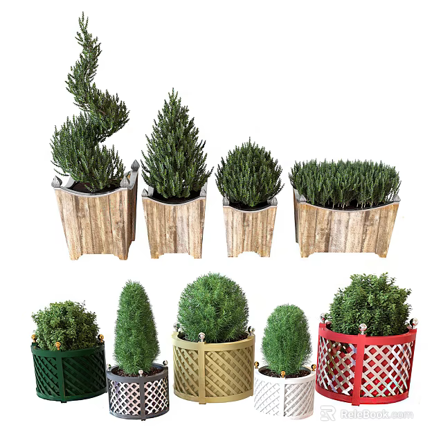 Bonsai Potted Plants With Various Shapes In Wooden Red Green Woven Planters For Indoor Decoration 3d model 