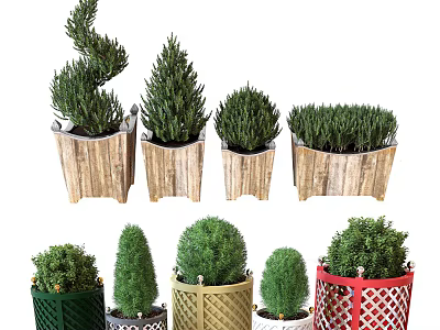 Bonsai Potted Plants With Various Shapes In Wooden Red Green Woven Planters For Indoor Decoration 3d model