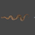 Brown Coiled Snake With Small Shiny Object On Gray Background