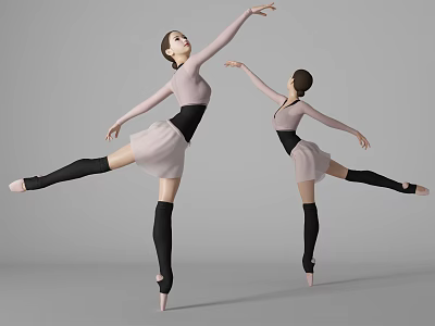 Two Women Ballet Dancers In Pink Tutus Performing Graceful Pointe Movements 3d model