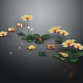 Beautiful Yellow Flowers With Green Leaves Arranged On Dark Background With Reflections