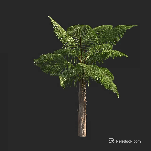 Tall Arbor With Lush Green Fronds And Brown Trunk In Natural Environment 3d model 