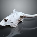 Detailed Bovine Skull With Textured Surface And Reflection On Dark Background 3d model