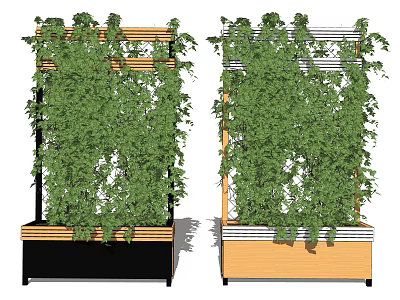 Vines Growing On Vertical Support Frame With Wooden Planter Base And Lush Green Foliage 3d model