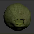 Fresh Green Fruit With Cracked Surface And Hollow Light Green Interior