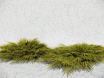 Lush Green Ground Cover Plants Growing On Light Colored Ground Surface 3d model
