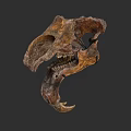 Prehistoric Dinosaur Skull Fossil with Detailed Teeth and Bone Structure