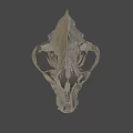 Detailed Animal Skull Anatomical Structure With Visible Teeth On Gray Background