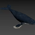 Realistic Black Whale Figurine With Sleek Glossy Surface Against Gray Background