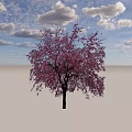 Beautiful Flowering Arbor with Pink Blossoms Against Light Blue Sky