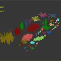 Diverse Green Plants With Different Heights Shapes Herbs Ferns And Small Flowers On Dark Background
