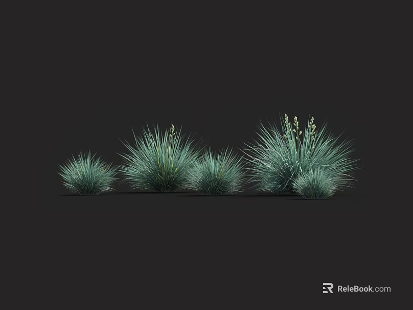 Clumping Green Grasses With Slender Leaves And White Flower Spikes In Different Sizes 3d model 