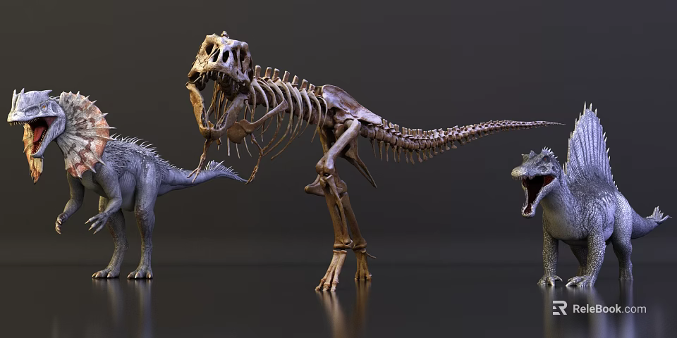Reptile Dinosaur Skeleton And Realistic Dinosaur Models In Exhibition 3d model 