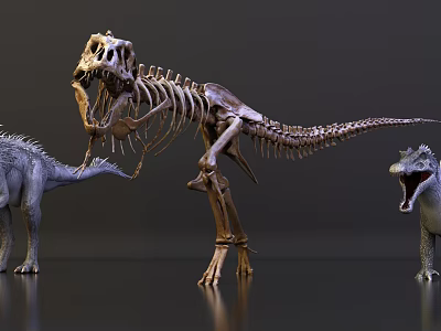 Reptile Dinosaur Skeleton And Realistic Dinosaur Models In Exhibition 3d model