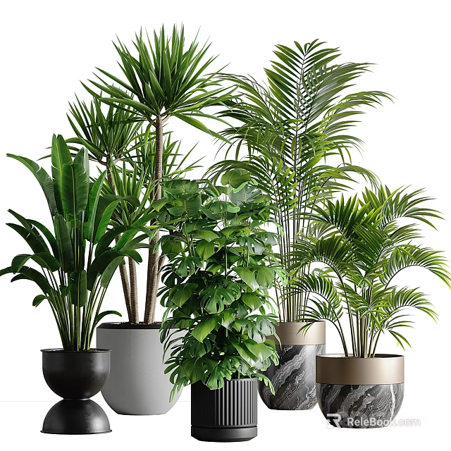 Indoor Lush Green Potted Plants With Different Leafy Varieties And Stylish Pots 3d model 