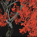 Red Maple Arbor Varieties With Green And Red Foliage For Garden Landscaping Projects