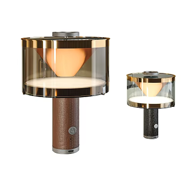 Modern Table Lamps with Brown Black Base Transparent Shade Orange Light and Metallic Frame 3d model