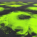 Green Abstract Plant Painting With Flowing Brushstrokes And Splatter Effects On Black Background