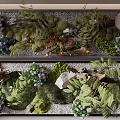Natural Lush Moss Landscape With Ferns Purple Flowers Stones And Driftwood