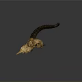 Detailed Antelope Skull Sculpture Carving With Curved Horns And Natural Texture
