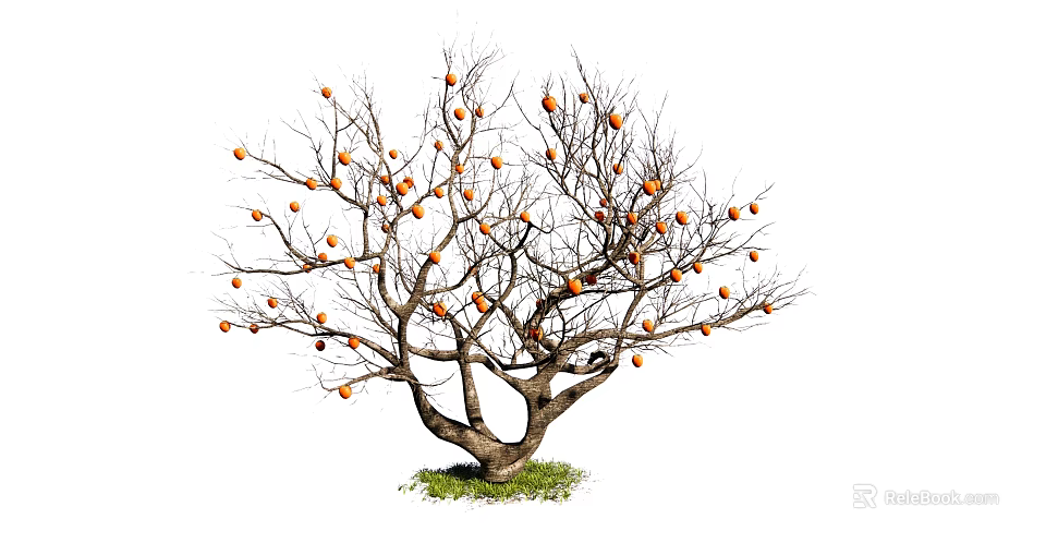 Leafless Tree With Orange Fruits On Branches And Green Grass Base 3d model 