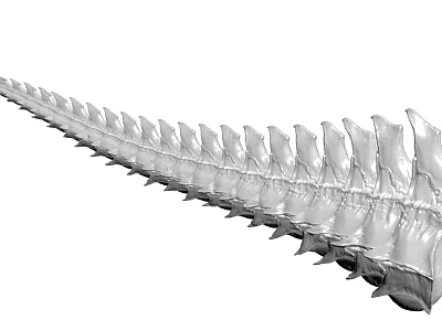 The Modern Tail 3d model The Modern Tail 3d model