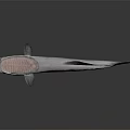 Detailed Light Gray Fish with Prominent Head Structures on Gray Gradient Background 3d model