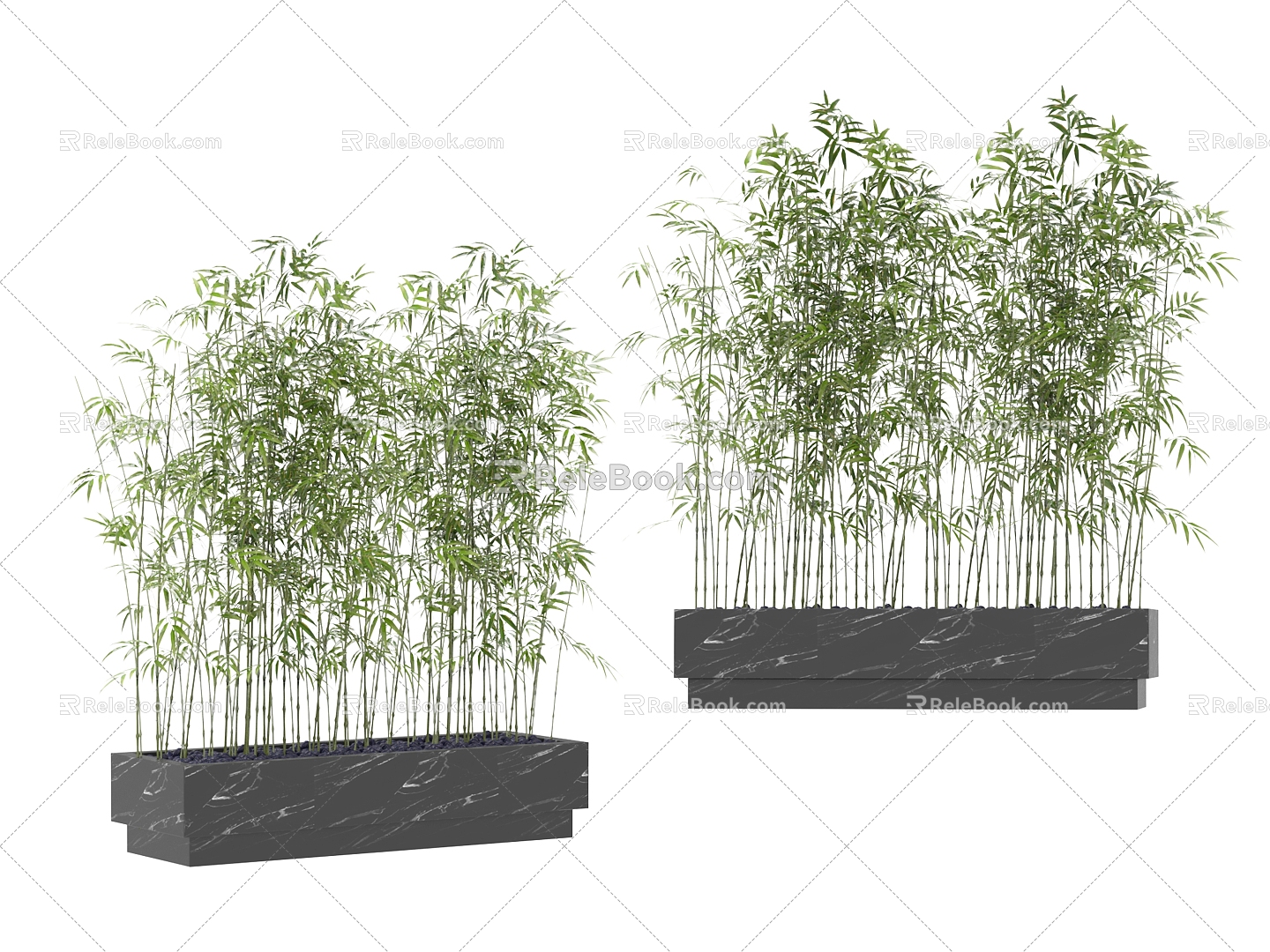 plant bamboo 3d model