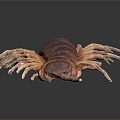 Modern centipede millipede spider cartoon centipede 3d model