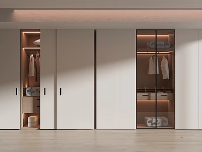 Modern Wardrobe Interior With Sliding Glass Doors Hanging Areas And Storage Drawers 3d model