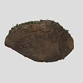 Natural Stone Decorative Piece Covered With Lush Green Moss On Surface Texture