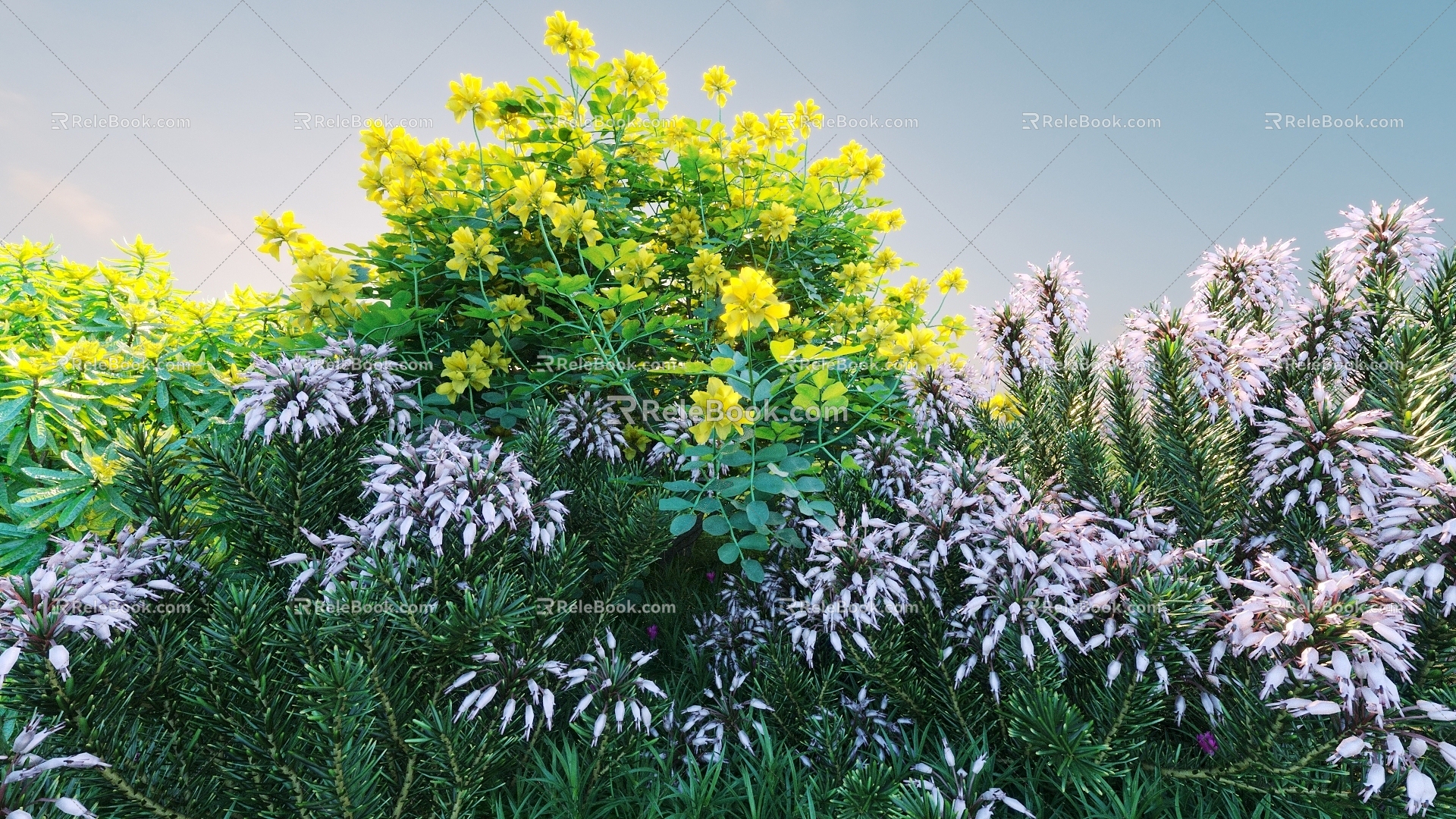 Flowers and plants combination landscape shrubs shrubs plant combination natural landscape flowers 3d model