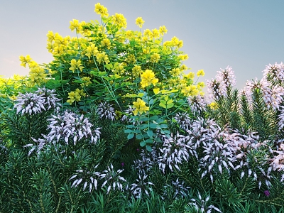 Flowers and plants combination landscape shrubs plant combination natural landscape flowers 3d model