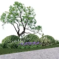 Branched Trunk Tree With Green Foliage Low Shrubs Purple Flowers Grass And Stone Path
