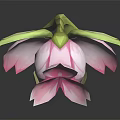Cute 3D Model Cartoon Character Flower Creature With Pink Petals Green Leaves And Big Eyes