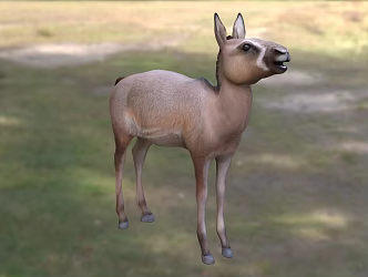 South American original horse-type animal creatures 3d model