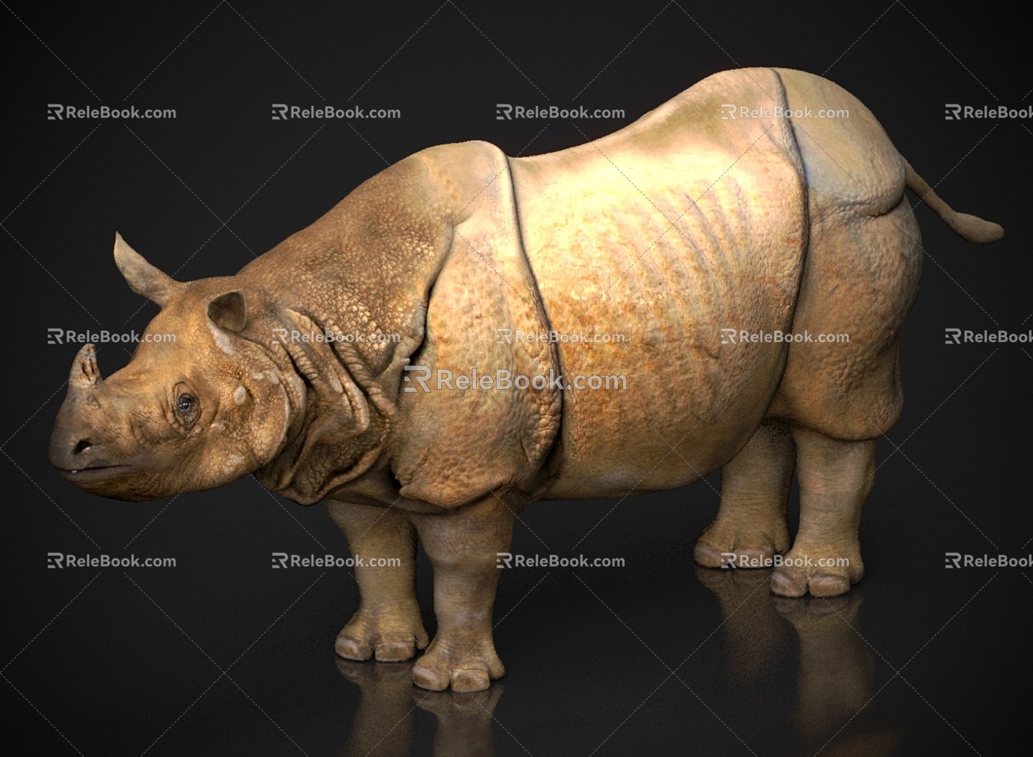 Zoo Wildlife Beast Beast Pet Rhino 3d model