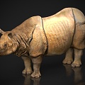 Zoo Wildlife Beast Beast Pet Rhino 3d model