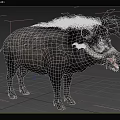 Visayas Wild Boar Visayas Warthog Curly Boar Animal 3d model