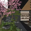 Japanese Courtyard Garden Featuring Pink Cherry Blossom Tree Black Wall Stone Path Pebbles Green Plants