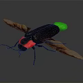 Detailed View of Black Beetle with Red Head Brown Wings and Green Tail
