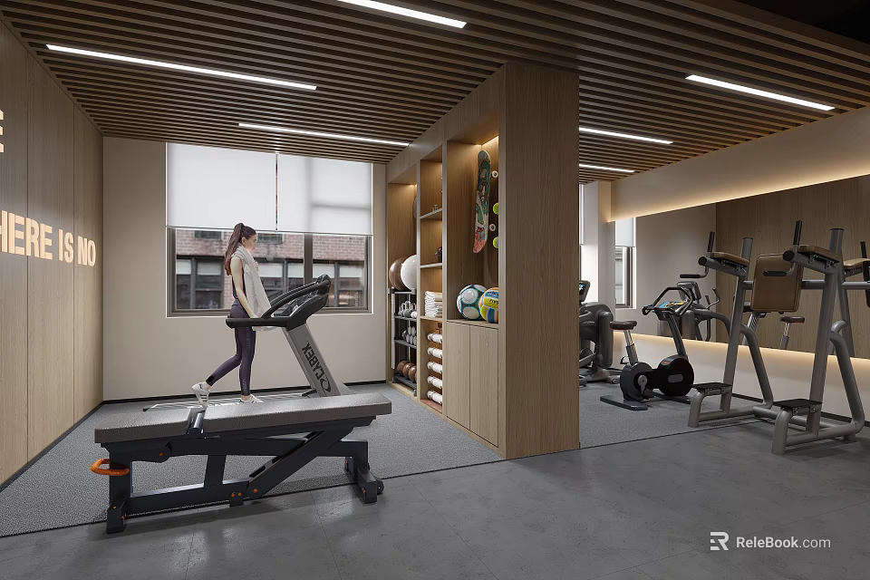 Modern Gym Interior With Various Fitness Equipment And A Woman Exercising 3d model 