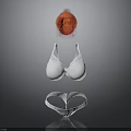 Woman Wearing Stylish White Bra Transparent Panties With Red Fluffy Accessory