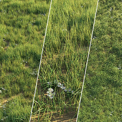 Lush Green Grass With White Flowers In Natural Meadow Landscape 3d model