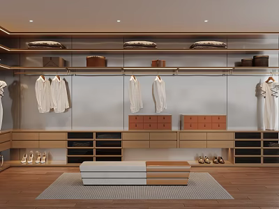 Modern Wooden Wardrobe Interior With Hanging Clothes Storage Boxes And Bench 3d model
