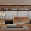 Modern Wooden Wardrobe Interior With Hanging Clothes Storage Boxes And Bench