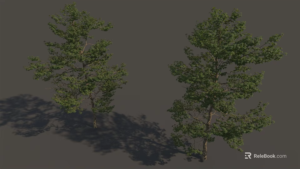 Two Green Arbor Trees With Lush Foliage And Natural Trunk Shadows 3d model 